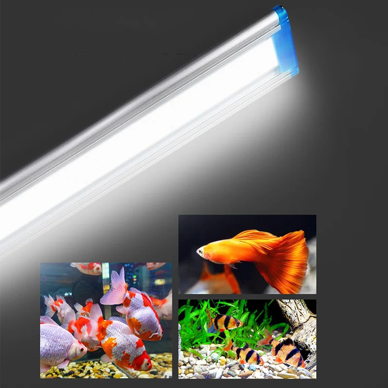 Светодиодная подсветка для аквариума: Светодиодное освние аквариума .