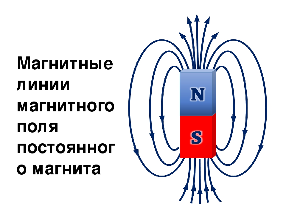 Магнит прямая линия. Схема магнитного поля постоянного магнита. Линии магнитного поля постоянного магнита. Полюса магнита схема. Магнитные линии магнитного поля постоянного магнита.