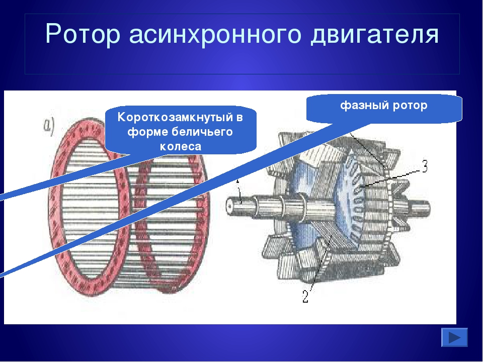 Расчет короткозамкнутого ротора