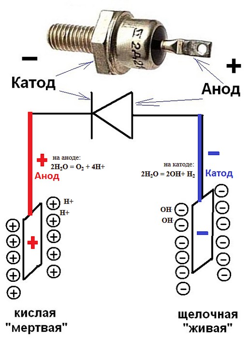 Катод и анод на схеме