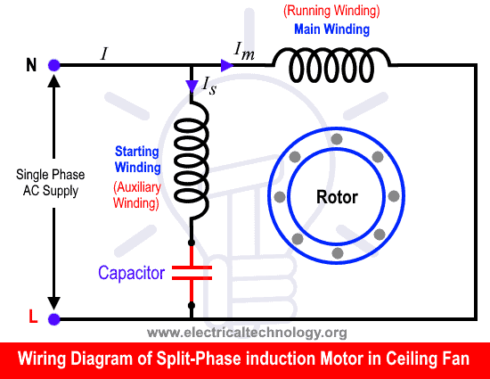 wiring diagram of split phase single phase induction motor in a ceiling fan